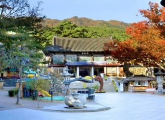 Đắm chìm trước vẻ đẹp cổ kính của đền Donghwasa - Hàn Quốc