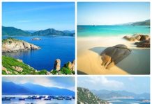 Tour Hè Nha Trang